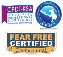 Certifications of Fear Free Certified Professional, DPDT-KSA and APDT