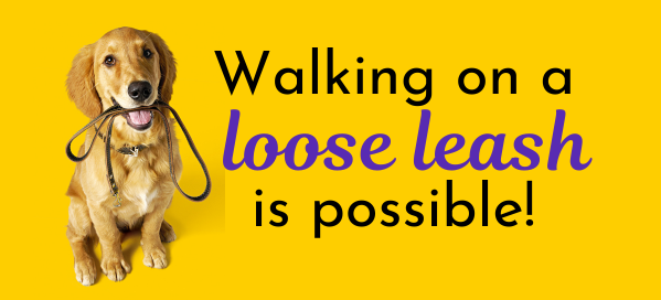 Loose leash walking